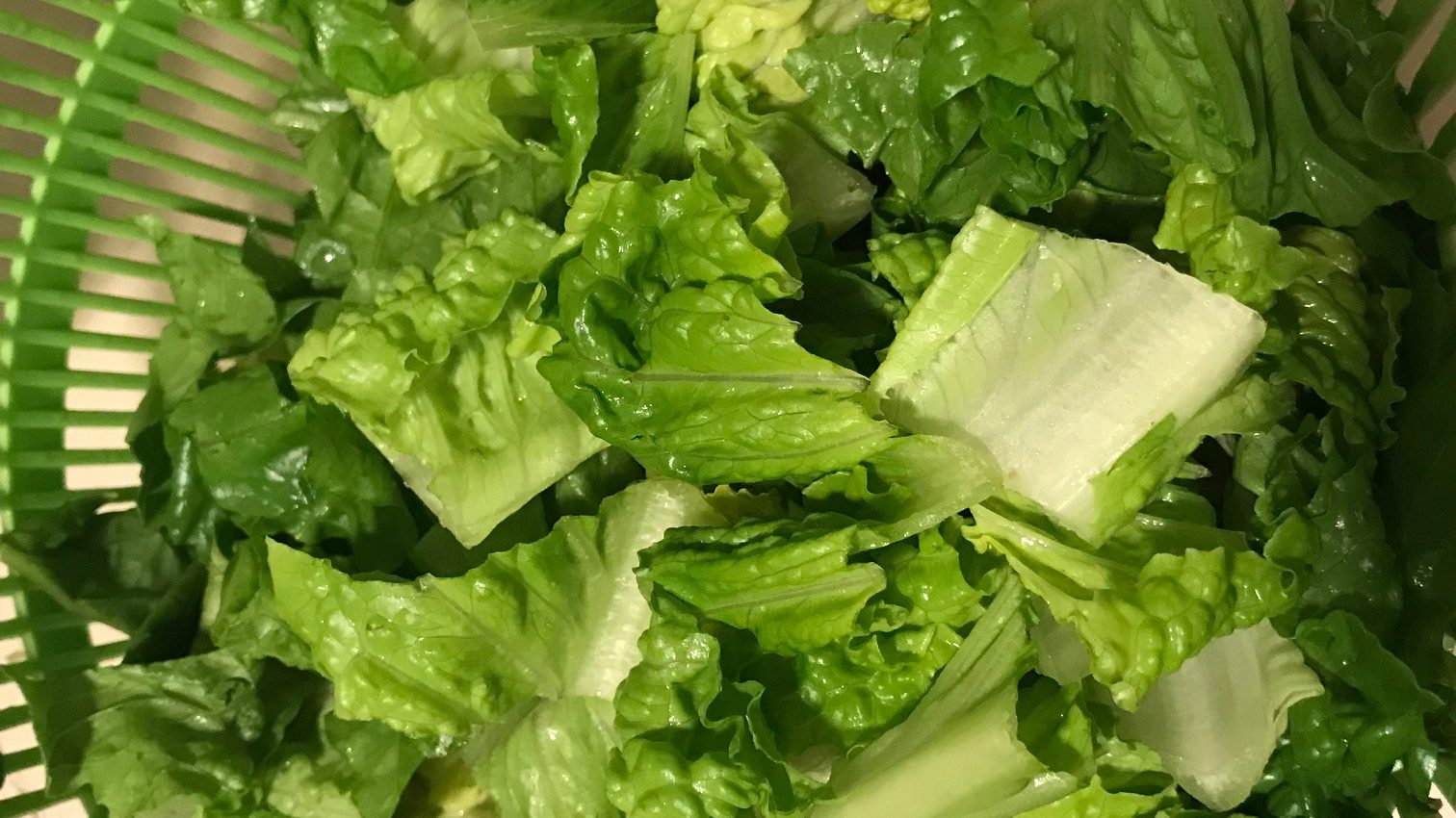 Spending Detox Day 1