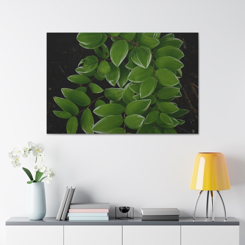 The Solomon’s Seal&nbsp;Collection